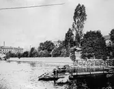 Bad av hästar vid klappbryggan, 1880-tal