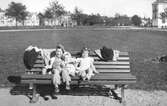 Barn i Karlaparken, 1945