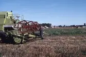 Skördetröska i arbete på Gustavsviksfältet, augusti 1990