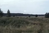Utsikt mot söder från Sörby, 1978