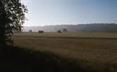 Vy över åker, 1978