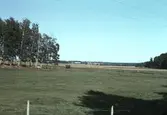 Utsikt mot öst från Hjortsbergstorpsvägen, 1978
