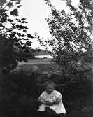 Ett litet barn sitter på en pinnstol utomhus vid ett lönnbuskage och håller i ett lönnblad. Bortom stengärdsgården breder odlingslandskapet ut sig ner mot en ett vattendrag.