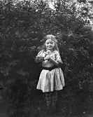 En liten flicka står framför ett buskage och håller i en blomma, en dahlia. Hennes ena arm hålls i vinkel av en skena med snörning. (Se även bilderna GEB180, GEB183)