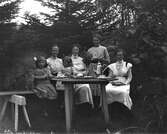 Fyra kvinnor i olika åldrar dricker te i trädgården med två små flickor och en hund. Tre av kvinnorna bär förkläden av olika slag och kan vara tjänstefolk. Kakfat och blomsterbukett finns på bordet. (Barnen finns även på bild GEB185)