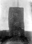 Från resandet och avtäckandet 1895 av monumentet över slaget vid Åsle.
