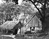 Anna Josefina Gabrielsdotter, Skrape-Fina kallad, vid sitt hem i Dagsås. Hon föddes 1865 den 19 april. I backstugan till höger bodde hon med sin egen familj och huset till vänster fungerade som ladugård. Fina fick åtta barn, varav två inom äktenskapet åren 1891-1897 med Gustaf Karlsson (1839-1897), övriga fäder var 