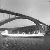 Fartyget Italia vid Sandöbron

