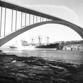 Fartyget Labrador vid Sandöbron

