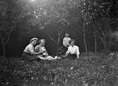 Tre unga flickor sitter i en trädgård vid en nyutslagen ros och ska dricka kaffe. Vid ett träd bakom dem står en liten pojke. De har med sig kakfat, porslingskoppar och en kaffekanna av metall.