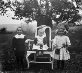 Anna Petronella Johansson (född Andersdotter) med tre av sina sju barn samlade utomhus, Stora Råryd. Minsta barnet Erik August sitter med en kvist i knät på en länsstol i bondrokoko, med tvillingarna Hulda Andrea och Karl Ragnar på var sin sida. Alla tre har spetskragar av olika slag, dottern i somrig klänning, hårrosetter, blomma vid skärpet och en liten väska med blomsterbrodyr på ena sidan och hennes tvillingbror i sammetsaktig mörk jacka med brett skärp och puffärmar. (Se även bildnr GEA119)