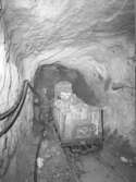 Bilder från sötvattentunnelns byggnation på Dynäsudden under åren 1962-1964