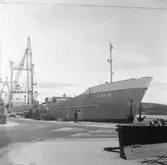 Fartyget Gala vid kaj