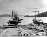 Salsåkers sågverk. Utlastning av trävaror från Salsåker 14/9 1899. 