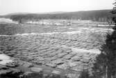 Timmer i Ljusnan, Hälsingland, 1930