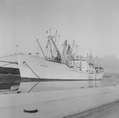 Fartyget Mlnlkol vid kaj

