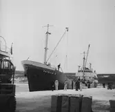 Fartyget Patricia S vid kaj