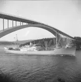 Fartyget Orinoco vid Sandöbron

