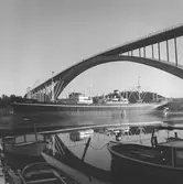 Fartyget Taronga vid Sandöbron
