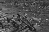 Flottning. Nedströms Ulriksfors.