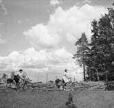 Två barn, en pojke och en flicka, som cyklar. Intill vägen löper en gärdesgård.