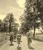 Cykling mellan Ödeshög och Gränna. En grupp män och kvinnor cyklar på en grusväg med beteshagar på var sida.