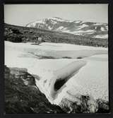 Pallemjokk och Keron, Abiskofjällen, juli 1938.