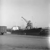 Fartyget Lienerhörn vid kaj