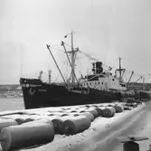 Fartyget Torno vid kaj