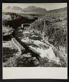 Abiskojokk mot söder från bron.