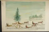 Akvarell av okänd konstnär. Män som kör ackjor /pulkor dragna av renar. 