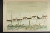 Akvarell av okänd konstnär. Renar på rad som drar ackjor / pulkor. L.A. 215. Påskrift: 