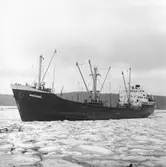 Fartyget Marianne på Älven

