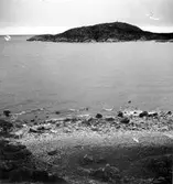 Notsandsviken på Härnön med utsikt mot Härnöklubbens fyr o Klubberget.