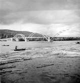 Hammarsbron, timmer i älven vid Sandslån 1936.