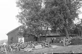 Gård i Veddige, möjligen Svinabacka. Vid muröppningen in till gården står två höga askar och vajar i vinden och under dem ses makarna i huset. Kanske är kvinnan och barnen som sitter bredvid gäster, eller barn och barnbarn. Till höger vid muren ligger en hög ris och färdiga risknippen och till vänster en korg.
(Se även bildnr GEA005)