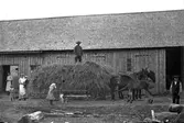 Ett hölass, draget av två hästar står redo att lassas in i ladan. På gården står kvinnor, män och barn tillsammans med en hund och ett föl. Ladugården är omålad och har sticktak (pärt).