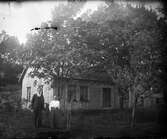 Ett äldre par står utanför sitt hus som är omålat och täckt med sticktak (pärt). Det blåser i lövträden invid huset och paret står vid en rad späda träd eller buskar. I bakgrunden ses flera dörar i en ladugård av skiftesverk. (Se även bildnr GEB194)
