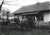 Från vänster: Lennart, Sten, Dagmar och Sture födda Gustafsson. Hästarna heter Gulli och Lova. Stensered, Drängsered. Huset har en farstukvist med snickarglädje. (Se även bild HB52)