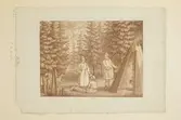 Gravyr av Fredrik Erik Martin efter förlaga av Pehr Hilleström från omkring 1800. En samisk familj utanför en kåta i skogen, renar bland träden. L.A. 1044. Jämför NMA.0103165.