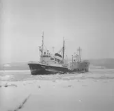 Fartyget Mercur på Älven

