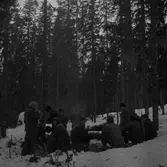 Män i barrskog. Troligen 50-60 talet.