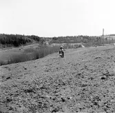 Fyndplats för stenåldersredskap. Sjö 5:1.
