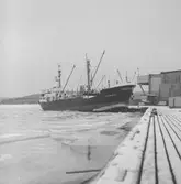 Fartyget Erich Hanslinger vid kaj