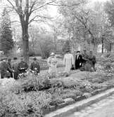 Besökare i Viktor Lundgrens trädgårdsanläggning