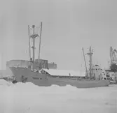 Fartyget Thule II vid kaj
