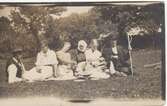 Sex personer sitter och fikar på en gräsmatta vid Labacka 1:2 