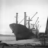 Fartyget Svanefjell vid kaj
