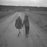 Herrsjövägens början (från Bollsta) ovanför 