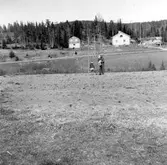 Fyndplats för stenåldersredskap. Sjö 5:1. 